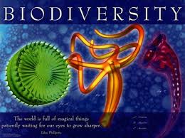 D�a Internacional de la Diversidad Biol�gica - 2011