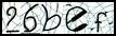 Texto para introducir
