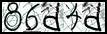 Texto para introducir